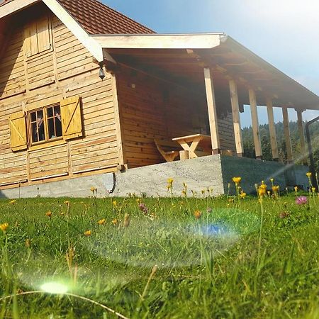 Villa Brvnara Tara Bajina Basta Exterior foto