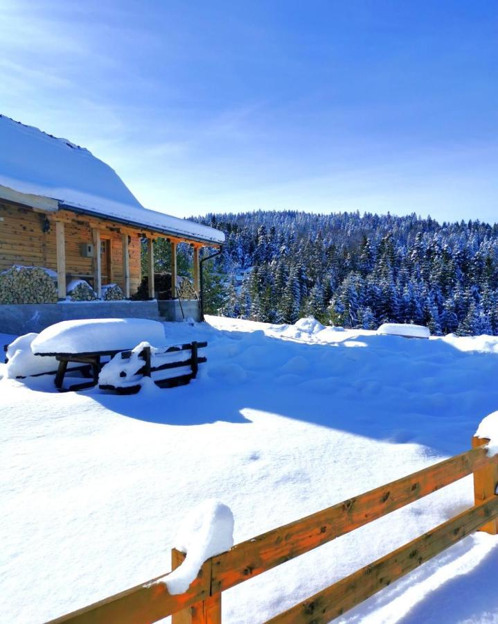 Villa Brvnara Tara Bajina Basta Exterior foto