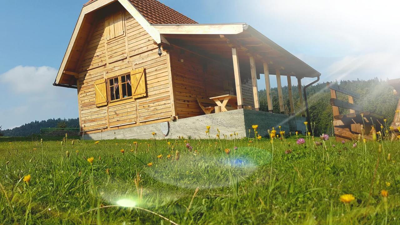 Villa Brvnara Tara Bajina Basta Exterior foto